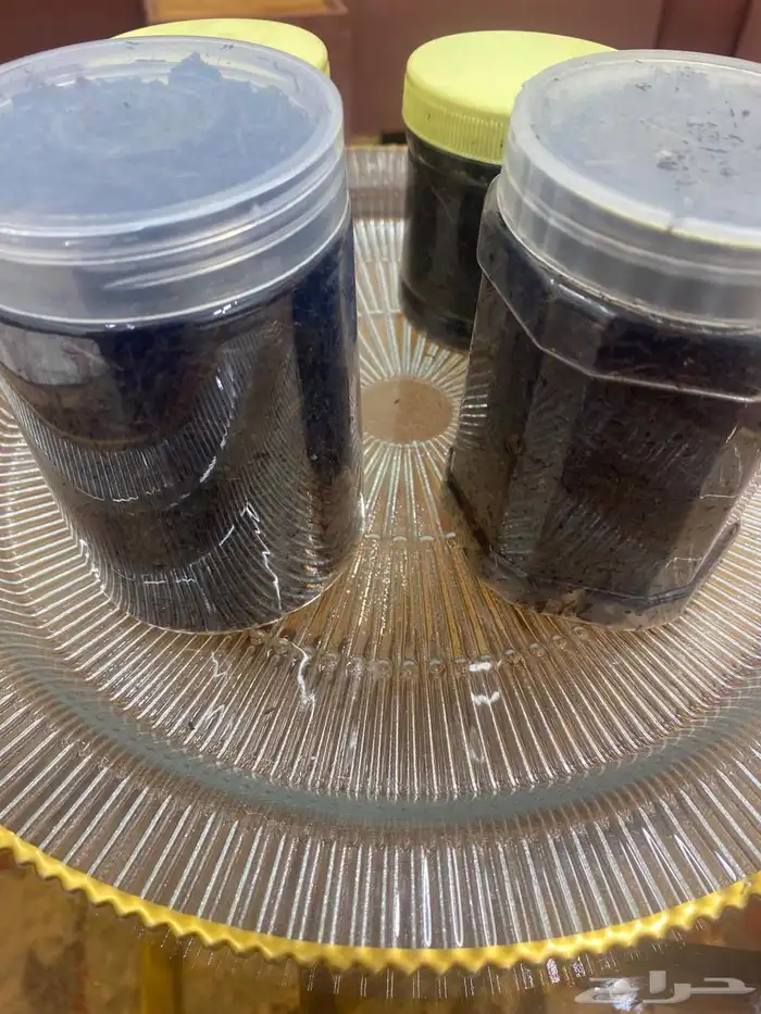 بخور للبيع 3