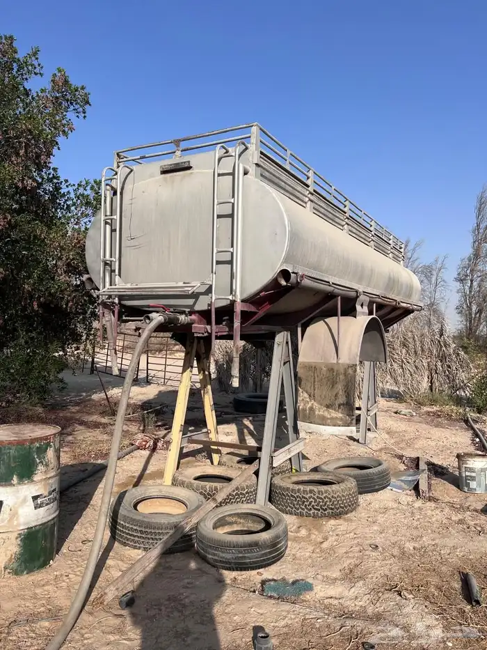 تانكي عايدي 0