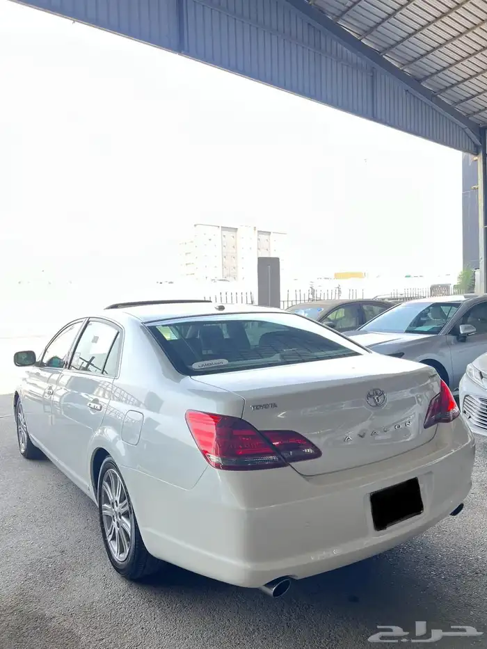 افلون 2009 13