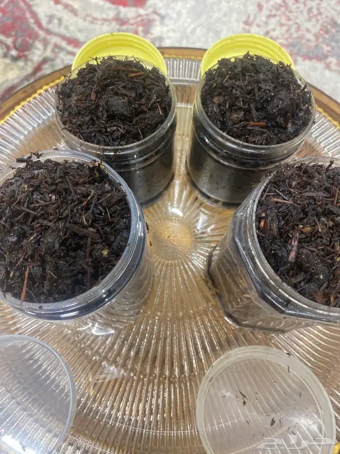 بخور للبيع 4