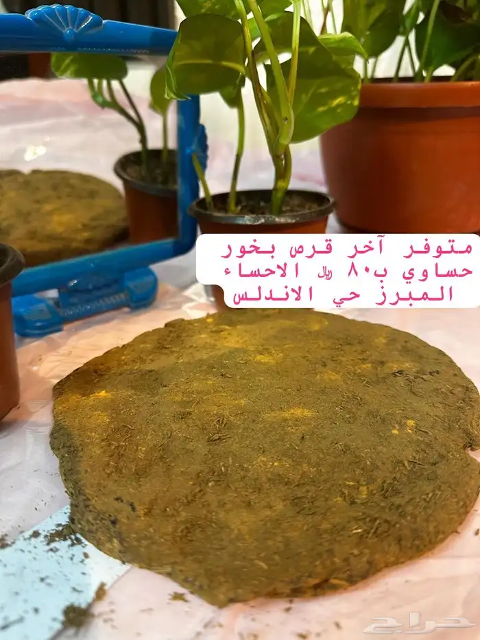 فرص بخور حساوي 0