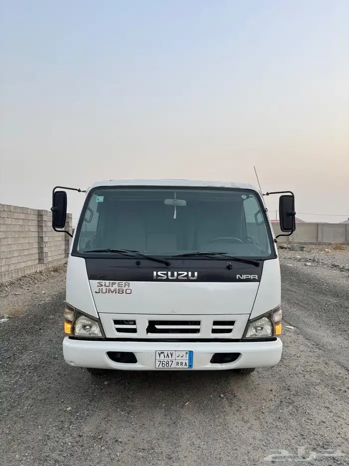 دينا ايسوزو 2008 2