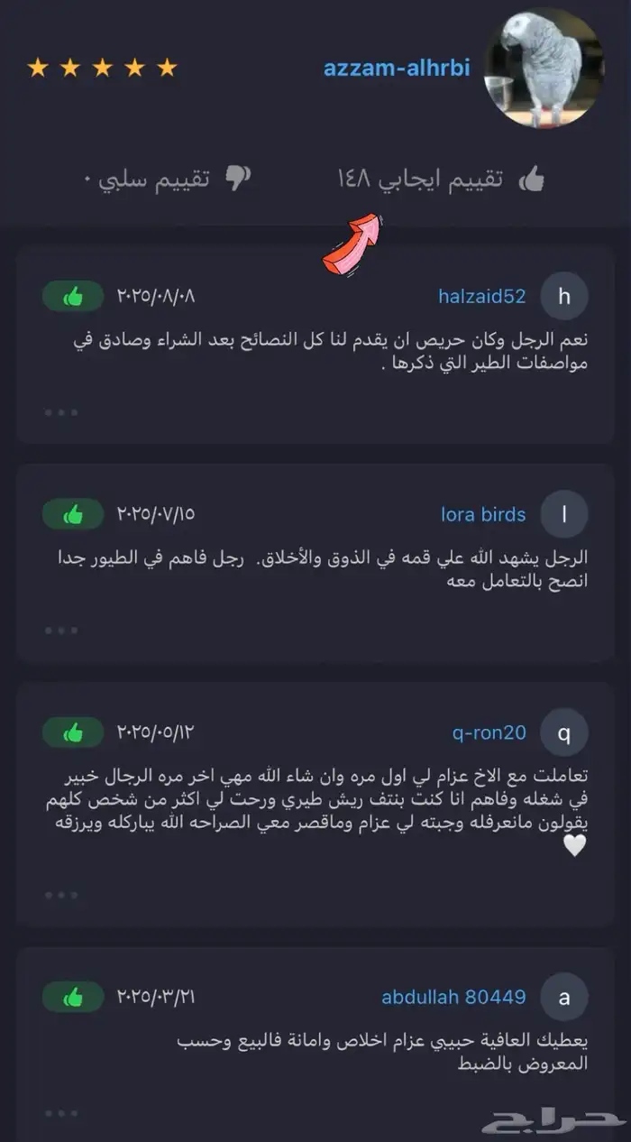 ببغاء كاسكو اسطورة بالكلام 3