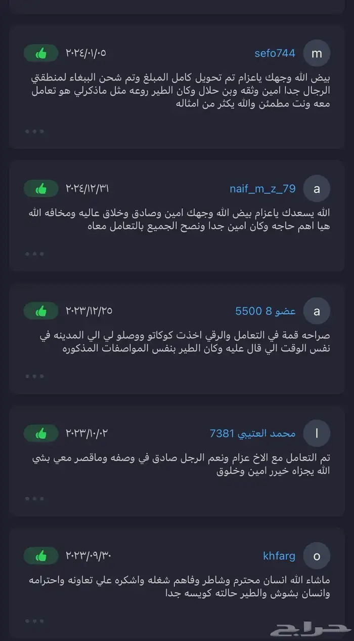 ببغاء كاسكو اسطورة بالكلام 6