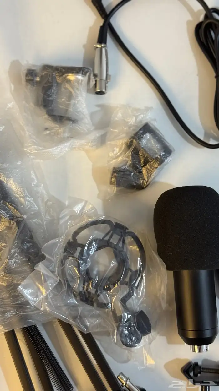 ميكروفون ( Microphone ) 3