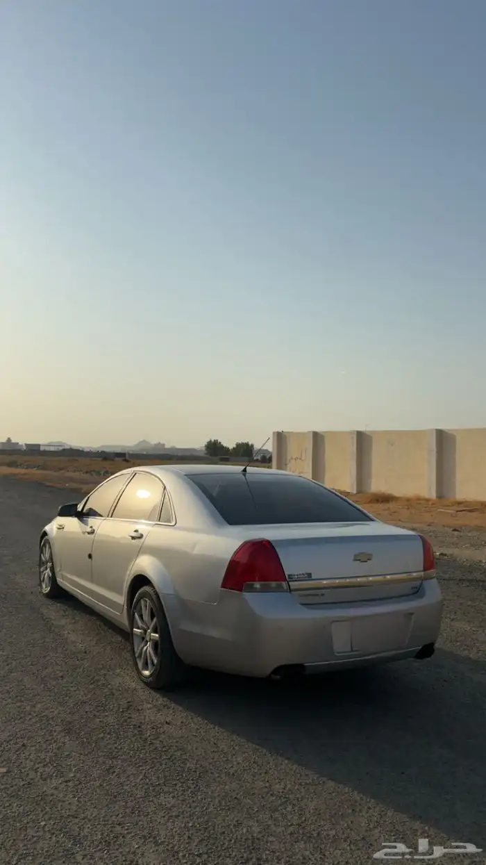 كابرس 2011 4
