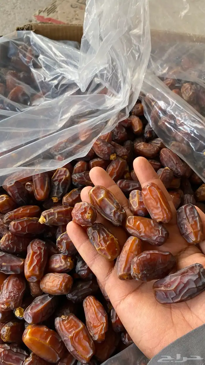 تمر برني العلا ا 4