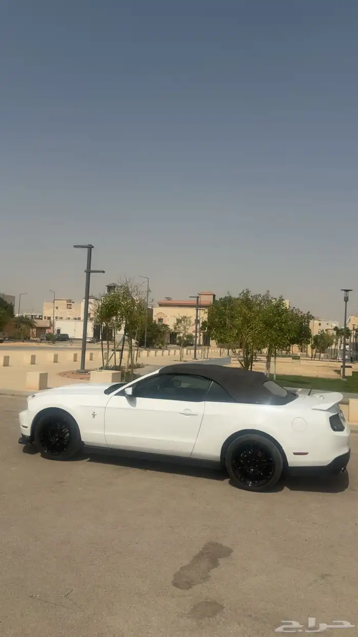 موستنق 2011 للبيع 6