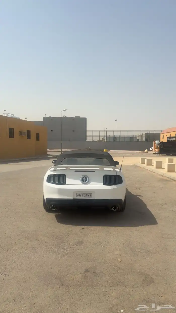 موستنق 2011 للبيع 5