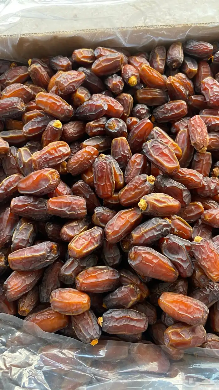 تمر برني العلا ا 1