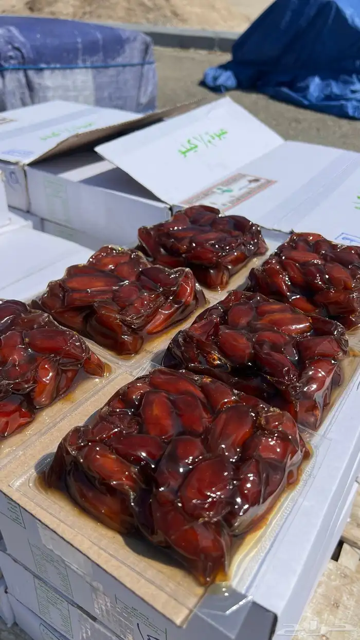 للبيع تمر حبه كبير نص 0