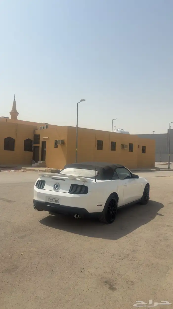 موستنق 2011 للبيع 4