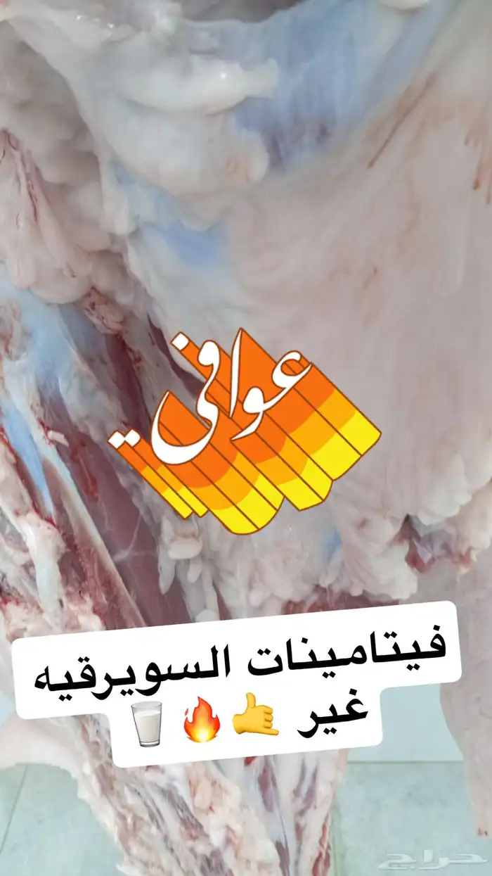 ملحمه حاشي السويرقيه الحوده 0