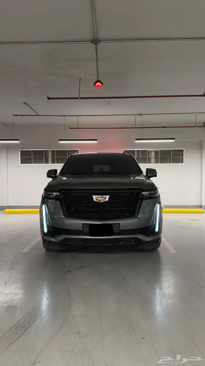 كادلك اسكاليد 10