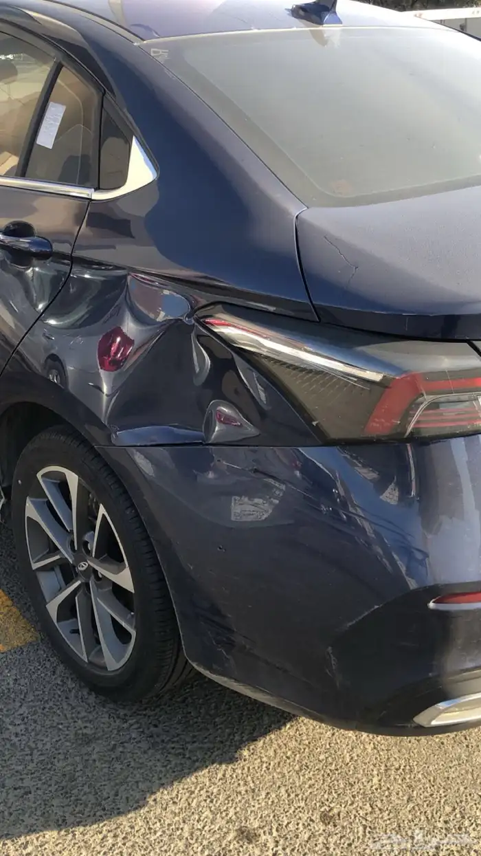 شيري اريزو 6 تنازل بدون مقابل 5