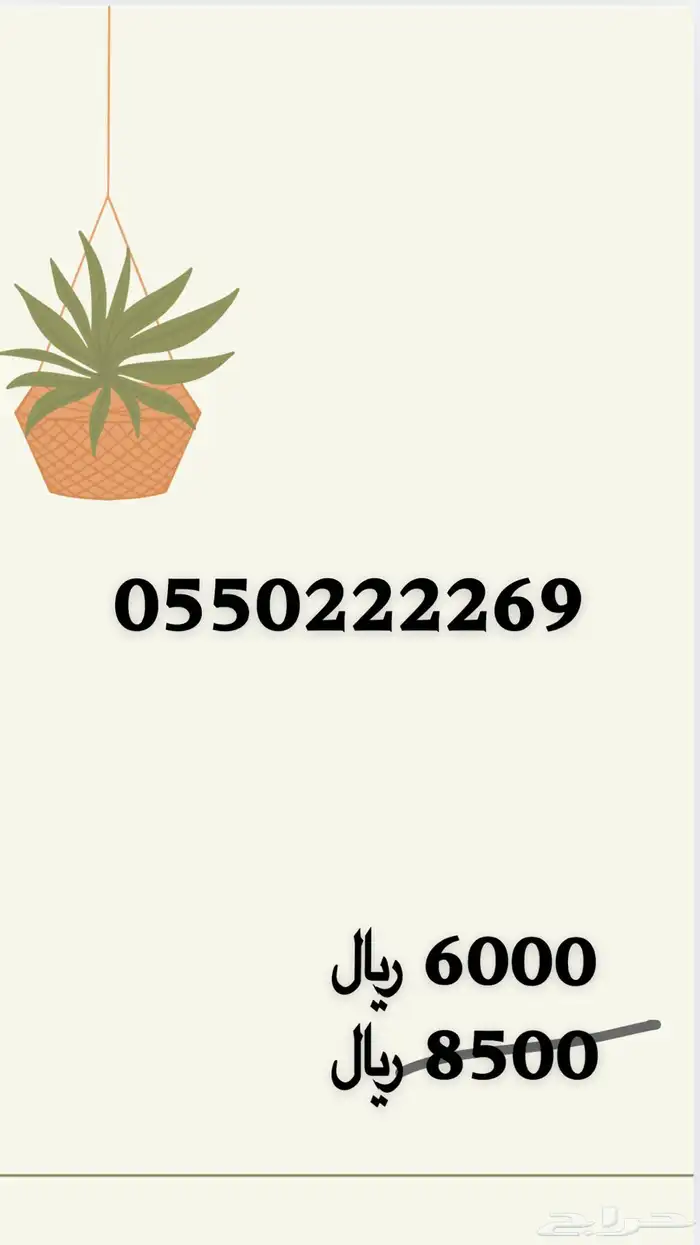 رقم مميز STC 1