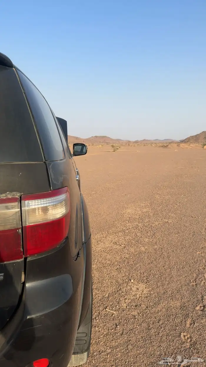 فور شنر 2011 6