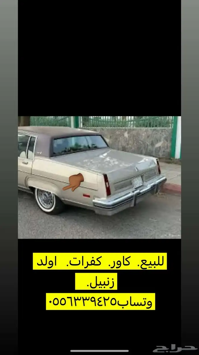 اولد زنوبيل. 84 2