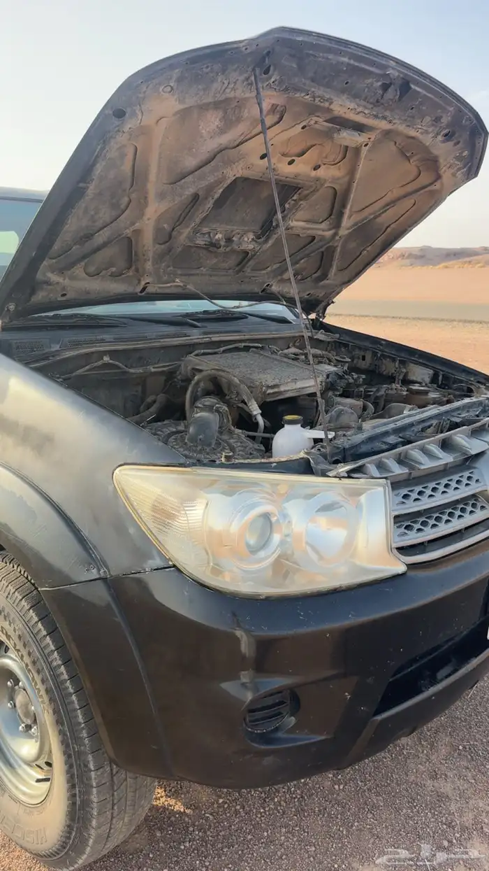 فور شنر 2011 10