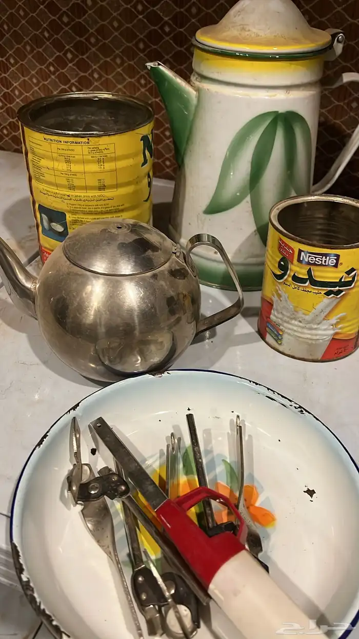 دلال وقز ريناي واخرى 19