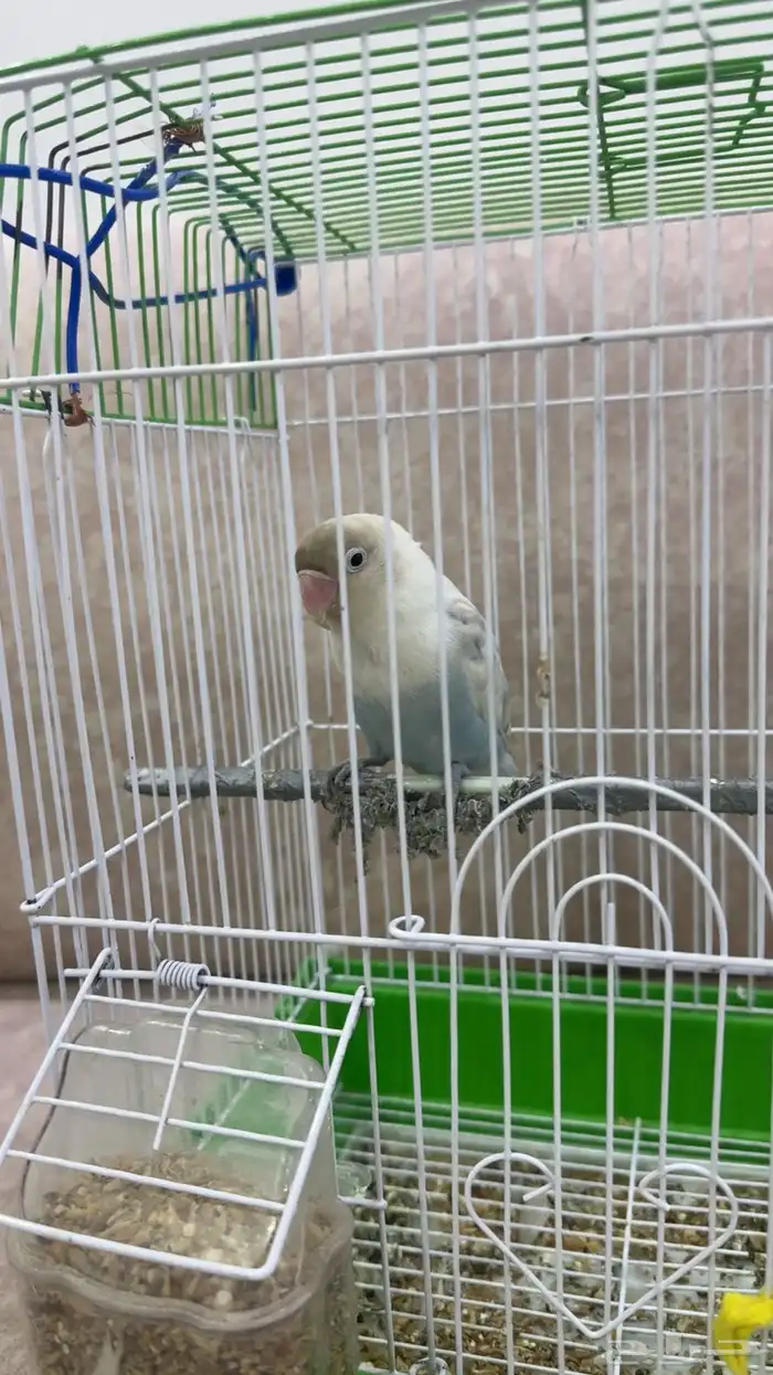 روز 3