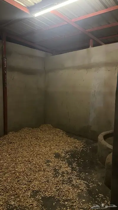 بوايك خيل index