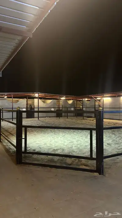 بوايك خيل index