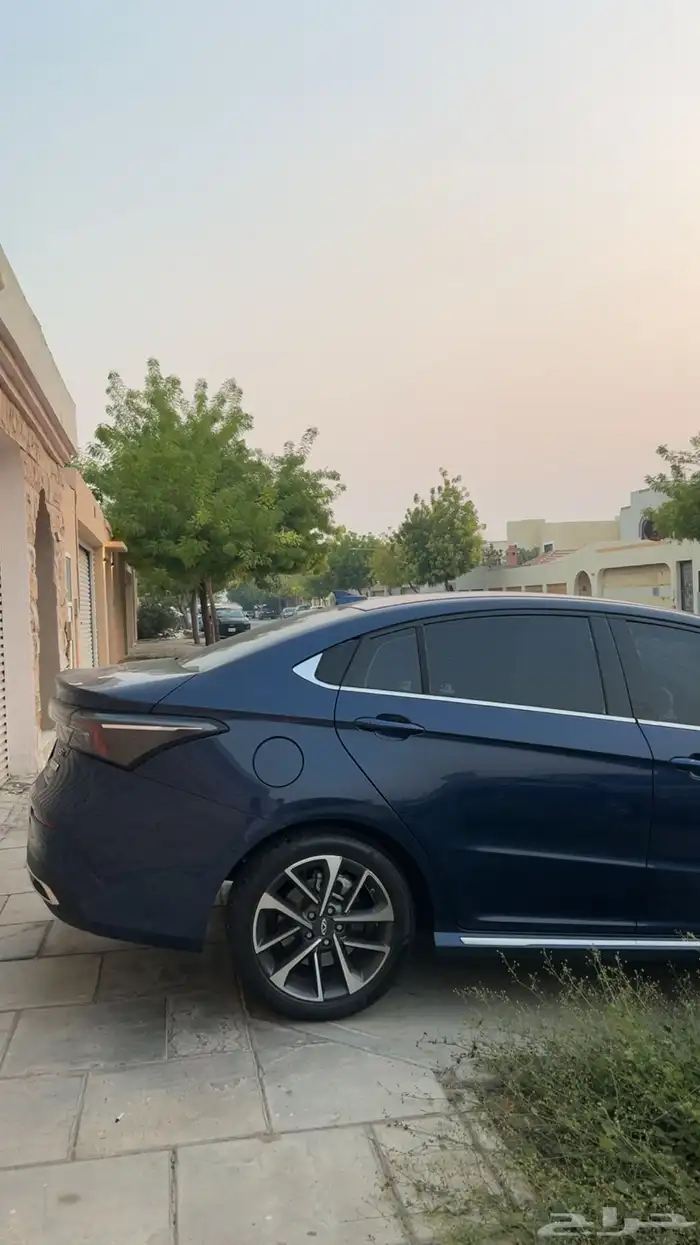 شيري اريزو 6 تنازل بدون مقابل 0