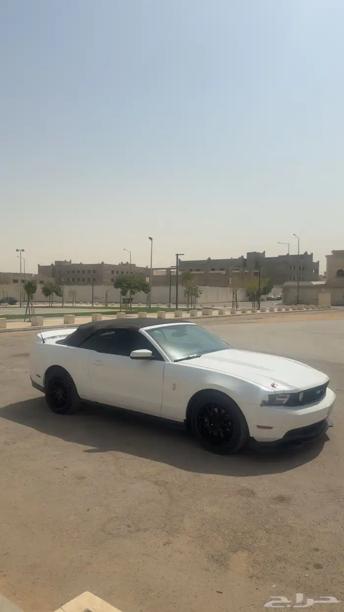 موستنق 2011 للبيع 3