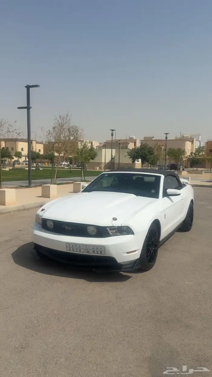 موستنق 2011 للبيع 2