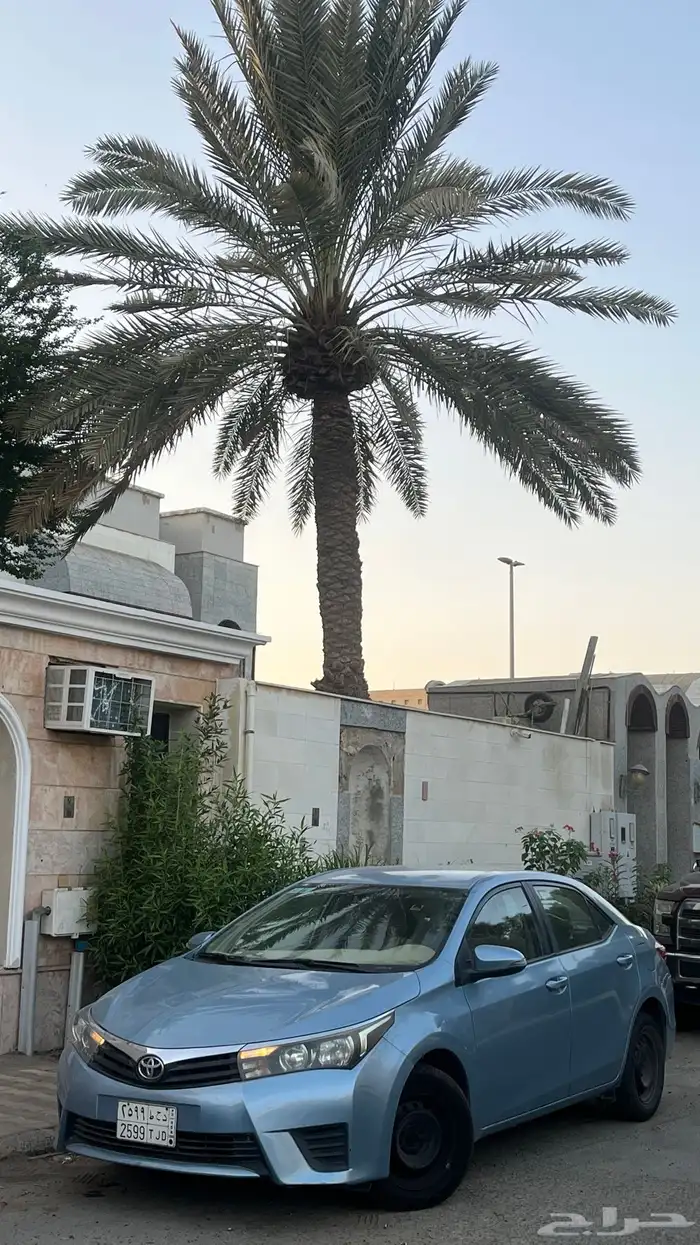 تويوتا كورولا 2016 0