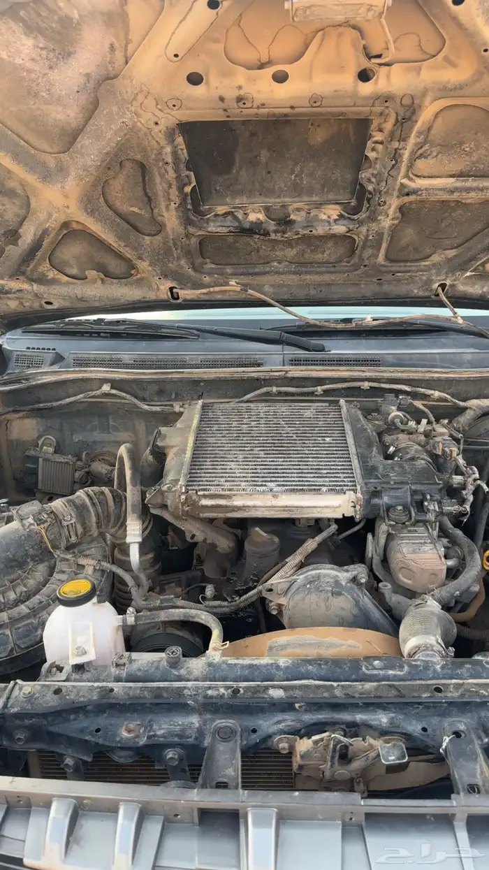 فور شنر 2011 9