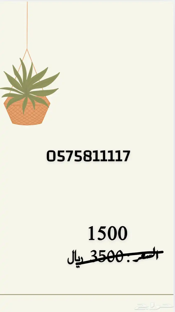 رقم مميز رباعي STC 6