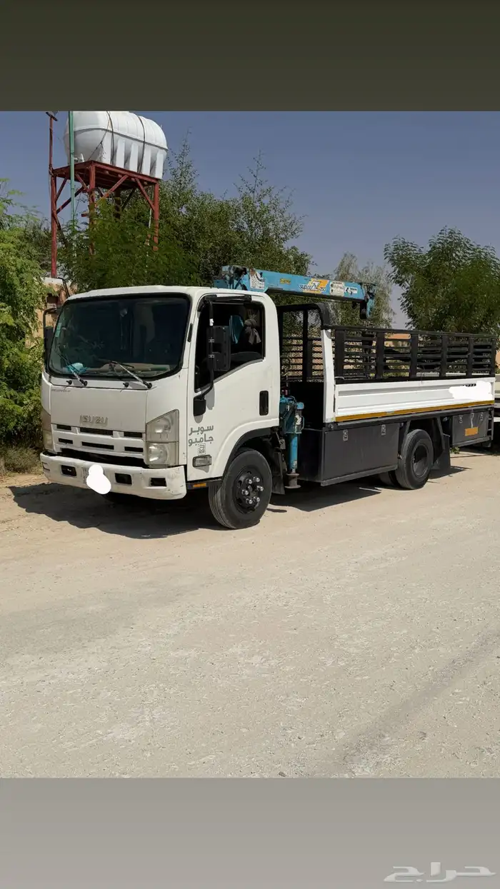 دينا ونش مشاوير 0