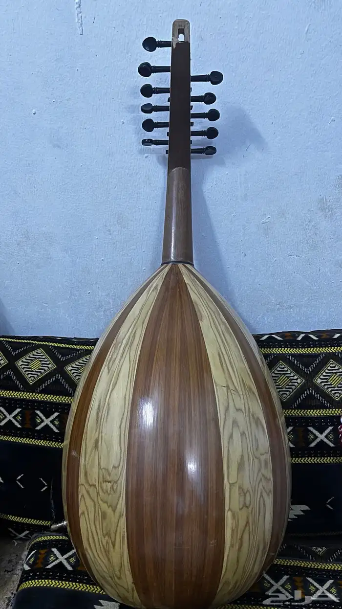 عود بحريني مصري 5
