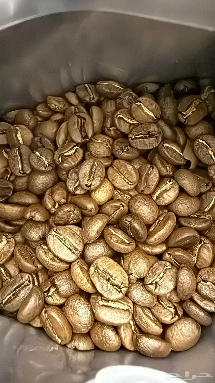 محاصيل القهوة المختصه بسعر الجملة 5