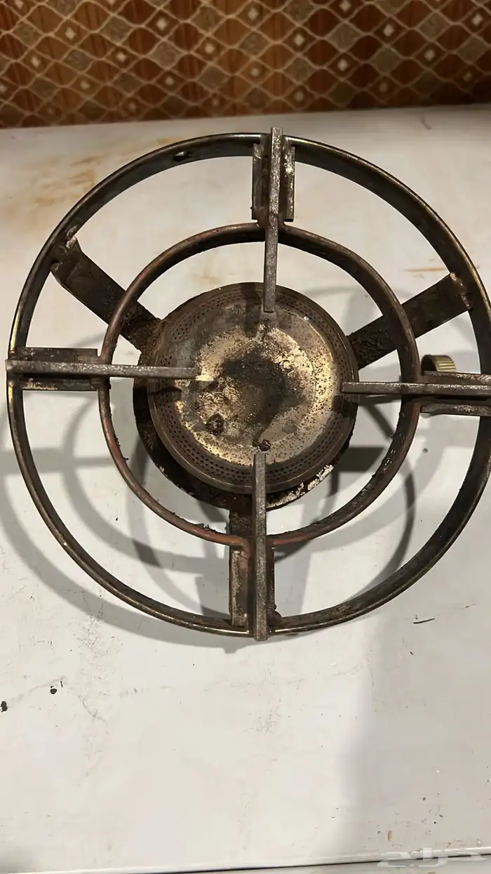 دلال وقز ريناي واخرى 14