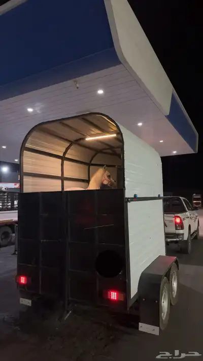 عربه نقل خيل باسعار مناسبه 0