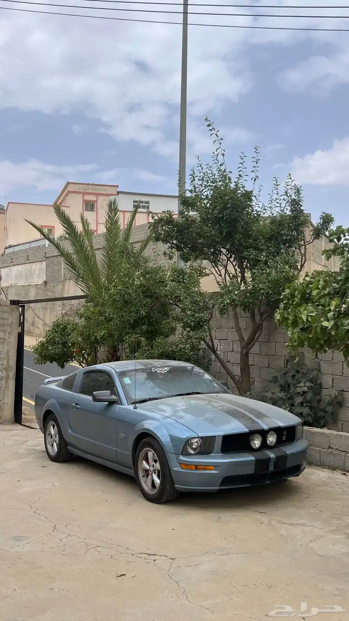 شبك موستنج 2005-2009 0