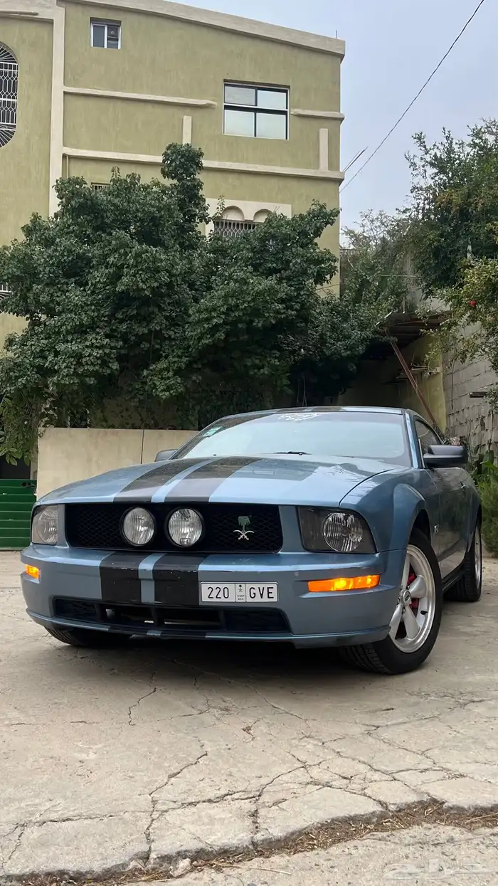 شبك موستنج 2005-2009 2