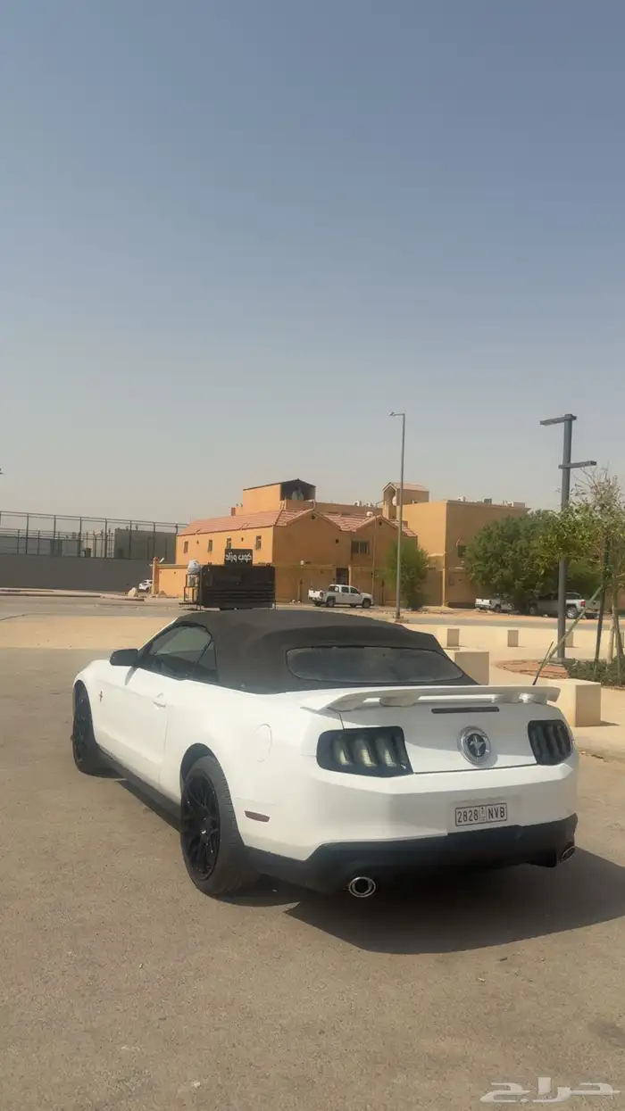 موستنق 2011 للبيع 7