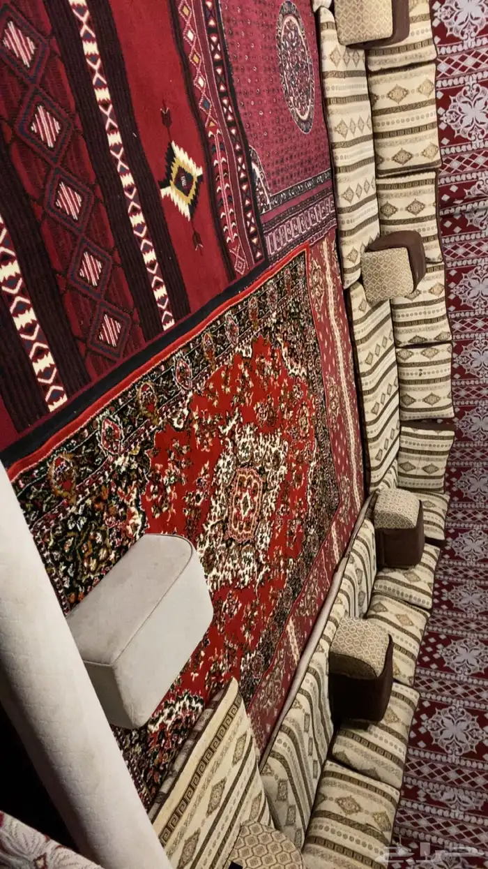 مخيم الراقي للايجار اليومي 10