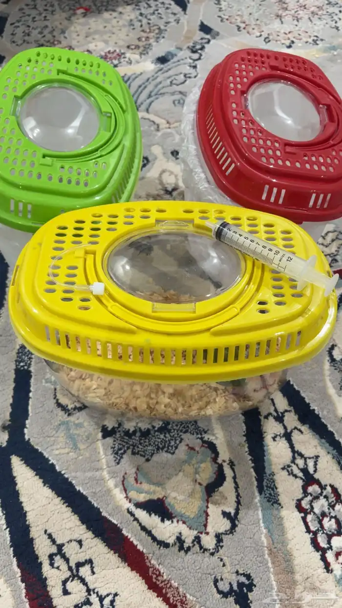 عرض فروخ كنيور 7