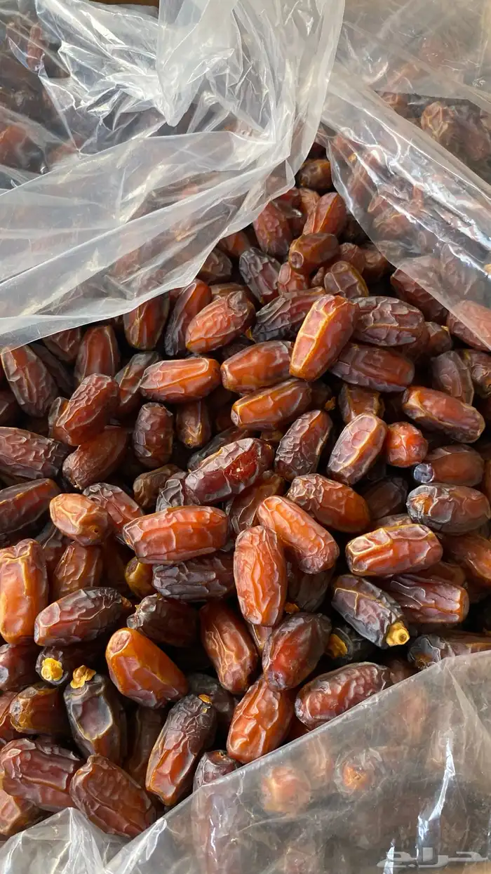 تمر برني العلا ا 3