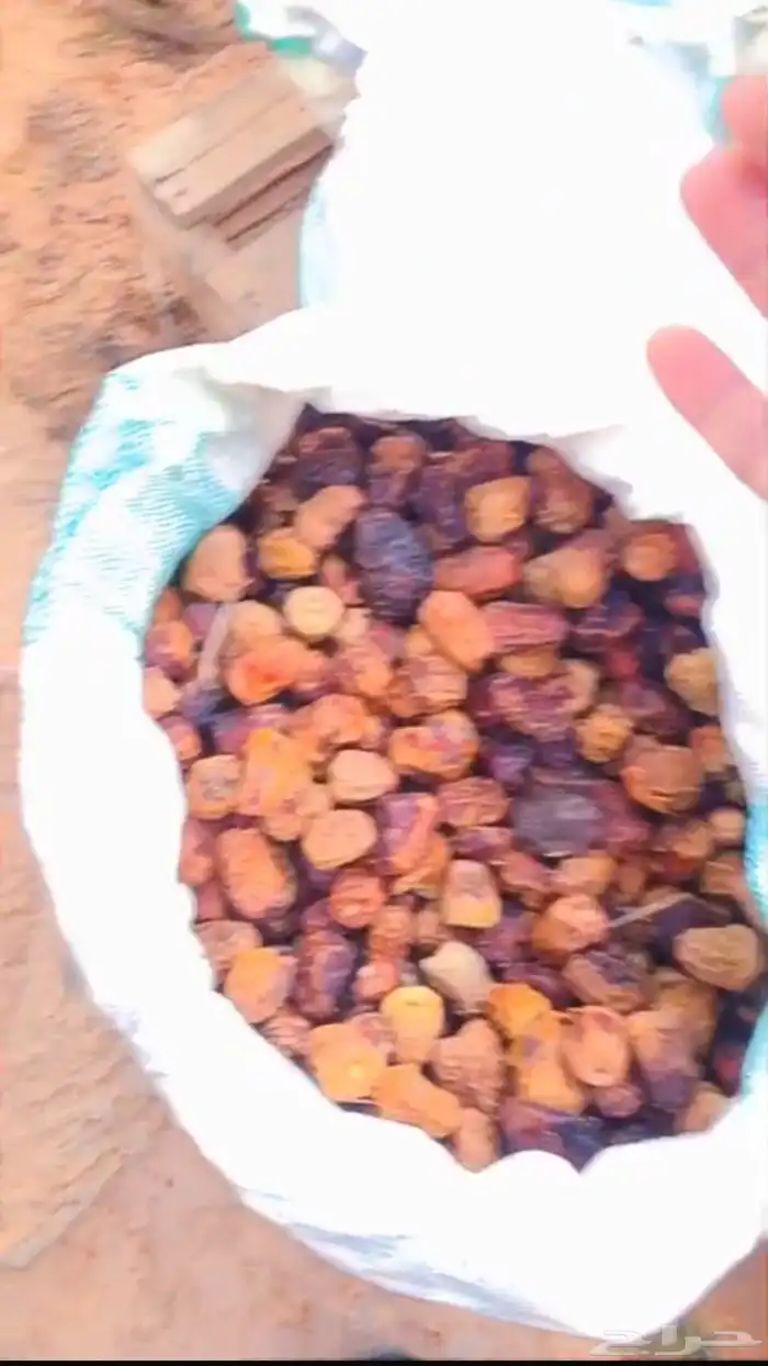 تمر علف للبيع 4