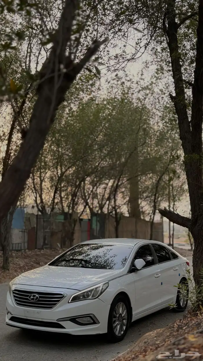 سوناتا موديل 2017 0