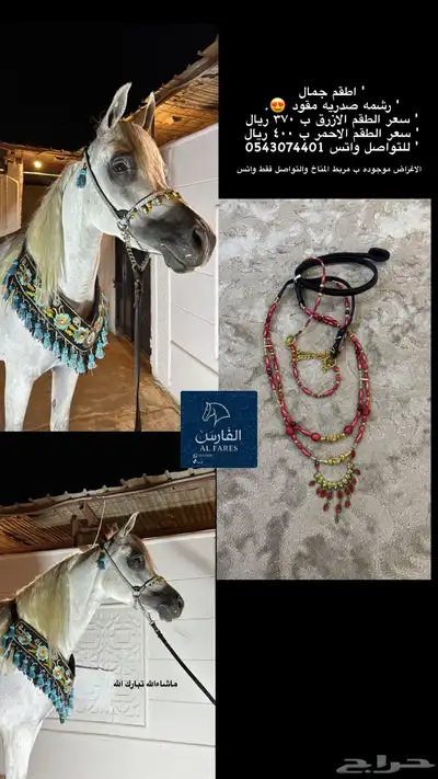 زينة خيل index