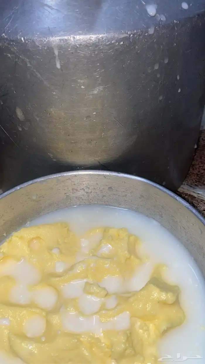 سمن بقر صافي مشروط حياكم الله 5