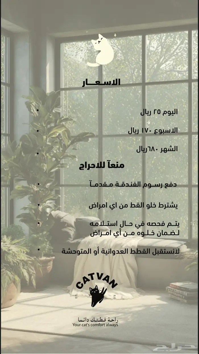 فندقه قطط 2