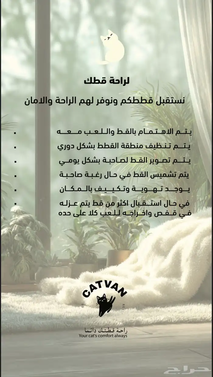 فندقه قطط 0